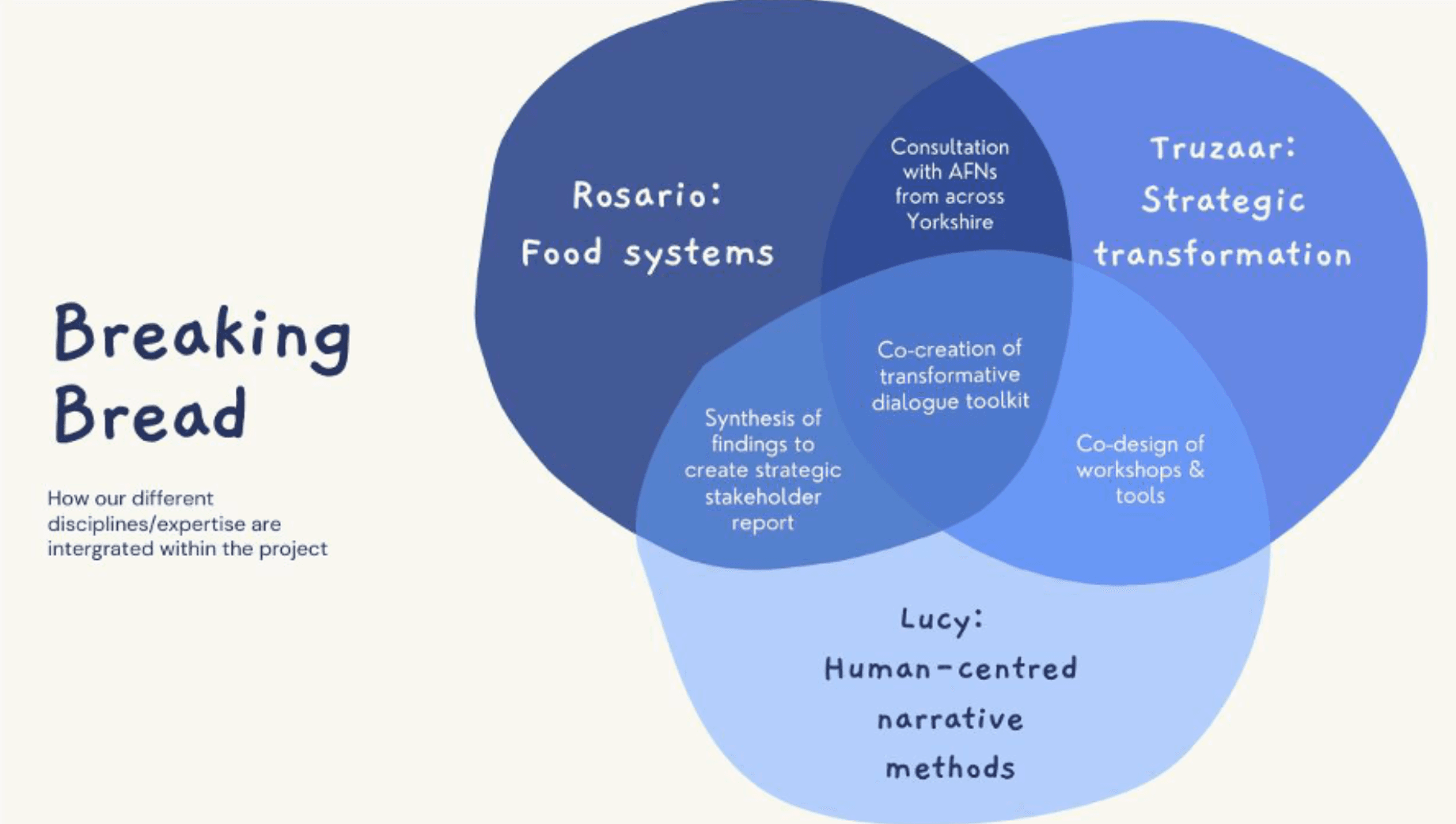 Venn diagram showing how the three researchers' disciplines overlap